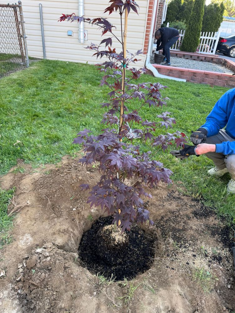 Landscaping  for TAS Lawn Care LLC in Wilmington, DE