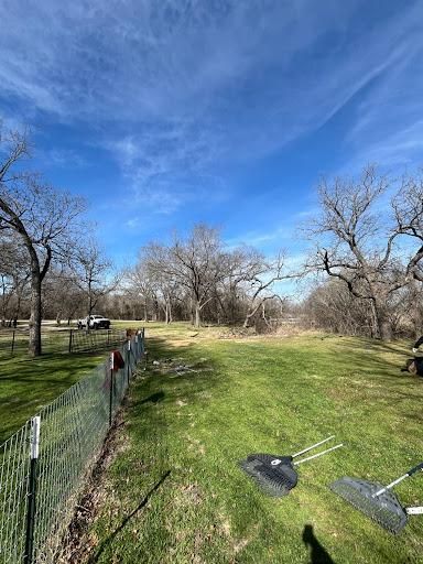 All Photos for Marks Tree Service in Fort Worth, TX