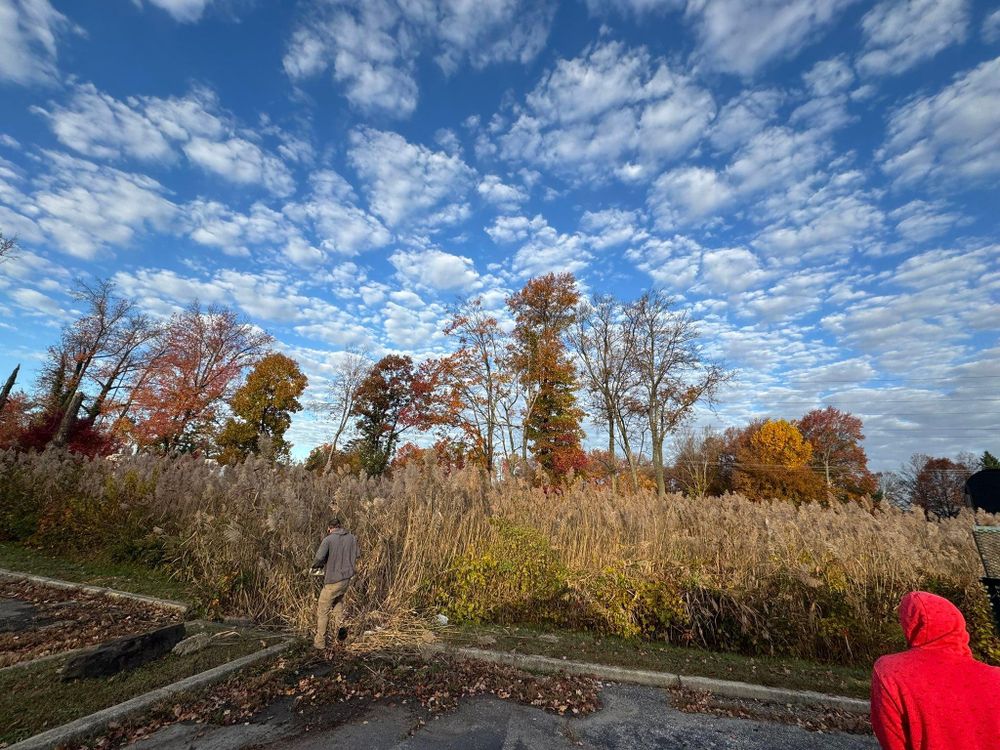 All Photos for Silburn Lawn & Landscape in Odenton, MD