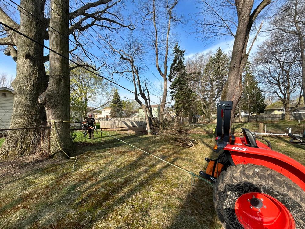 S.H. Tree Service LLC team in Hilton, NY - people or person