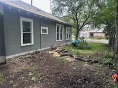 Tree Trimming for CrossCut in Kempner, TX