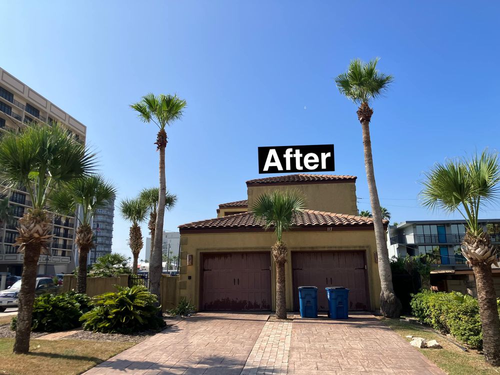 Enhance your home's curb appeal with our professional shrub trimming service, expertly shaping and maintaining your landscaping to ensure healthy growth and an immaculate appearance year-round. for John’s Lawns in South Padre Island, TX