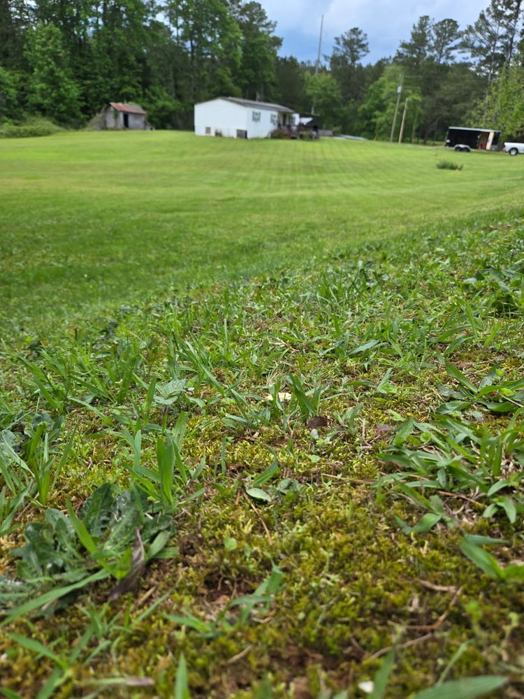 All Photos for ACE Lawn Care of Georgia LLC in Atlanta, GA
