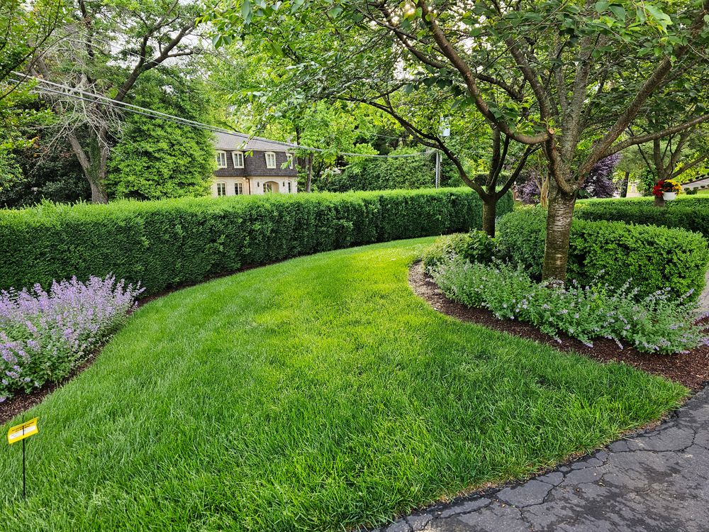 All Photos for M&M Lawn Care in Sterling, VA