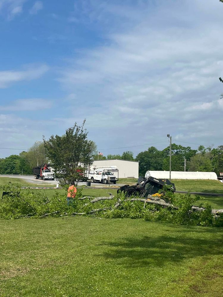 Tree Removal for Big Rock Tree Removal LLC in Boaz, AL