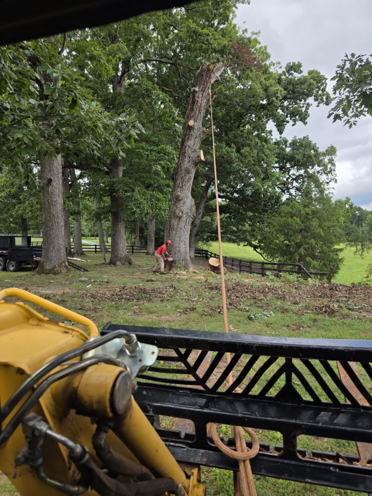All Photos for Smith Tree Experts in Palmyra, VA