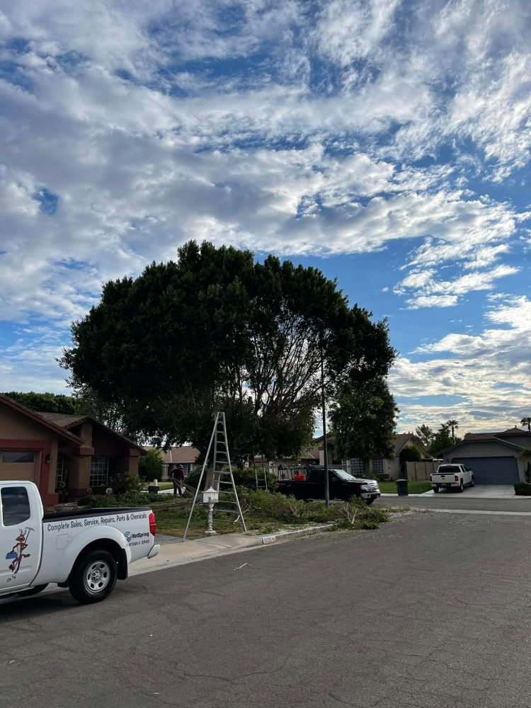 Oliver L. Palm & Tree services team in Yuma, AZ - people or person