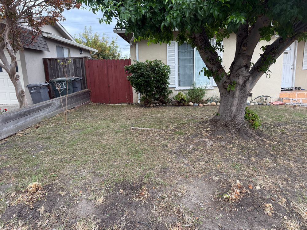 All Photos for CBA Landscaping in Hayward, CA