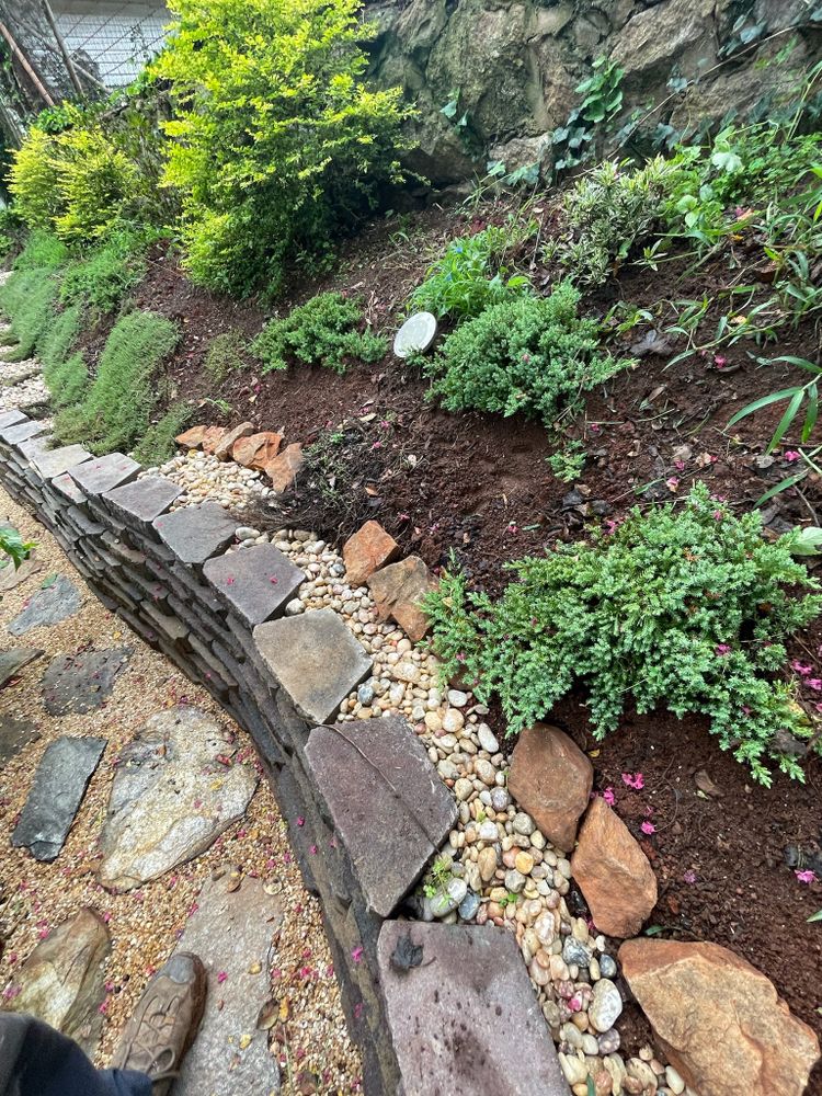 All Photos for Down To Earth Tree and Landscaping in Greenville, SC