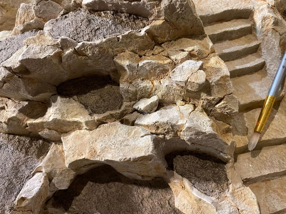 All Photos for Texas Curb N Borders in Houston, TX