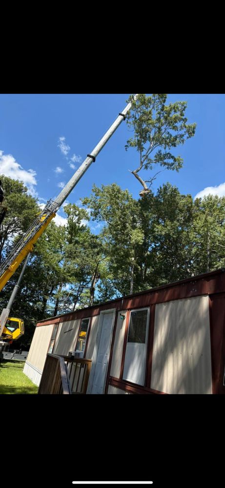 All Photos for Tidewater Tree Service in Chesapeake, VA