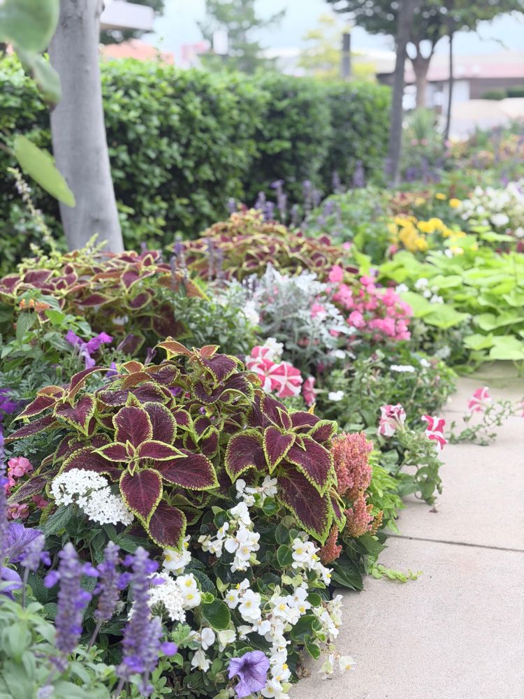 All Photos for Urban Lawn & Landscape in Oklahoma City, OK