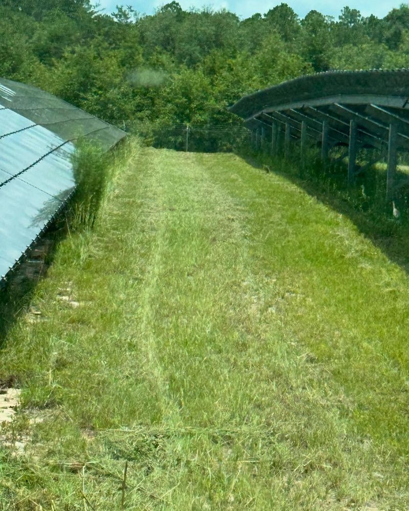 All Photos for Camalett Services in Perry, GA