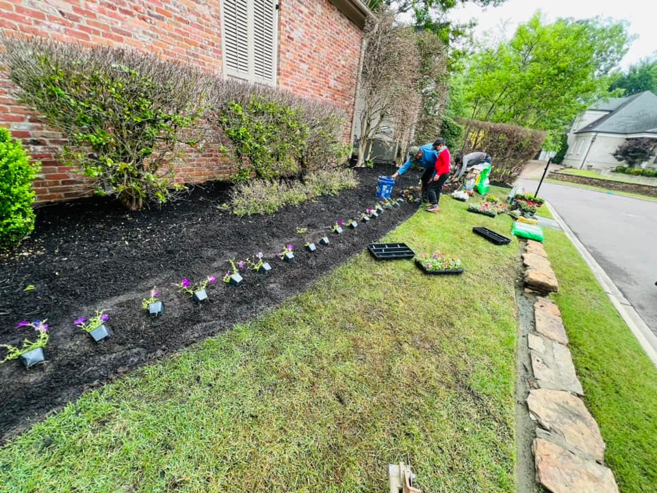 Landscaping for Sanchez Z. Landscaping in Memphis, TN