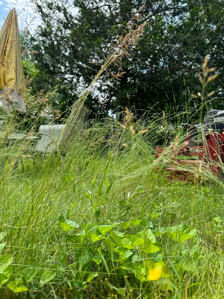 All Photos for Adams Landscaping in Springfield, MA