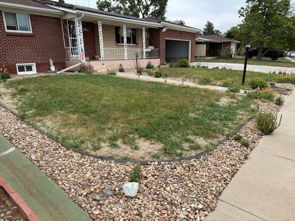 All Photos for Forever Green Turf Pros in Greeley, CO