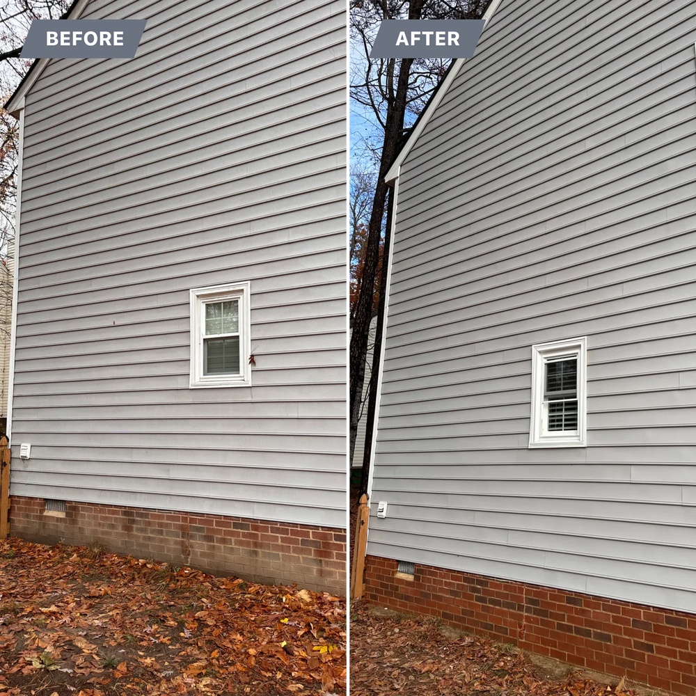 All Photos for LeafTide Solutions in Richmond, VA