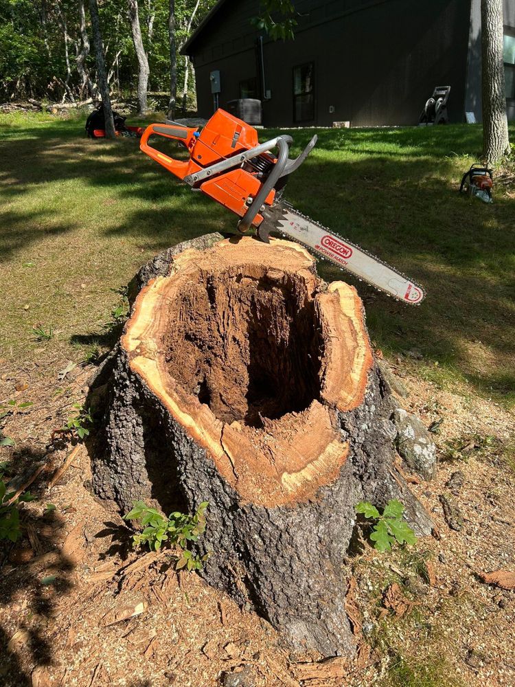 All Photos for McBee’s Tree Service in Sewanee, TN