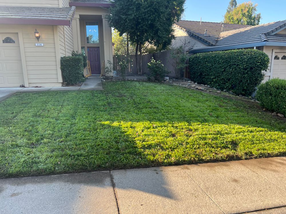 CLEAN UPS for Folsom Lake Landscaping in El Dorado Hills, CA