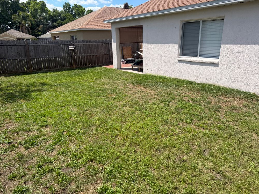 All Photos for The Yardman in Tampa, FL