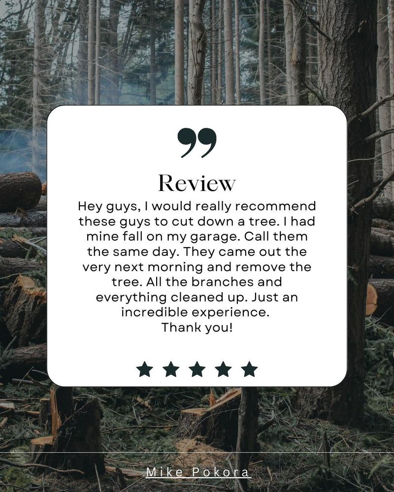 All Photos for Oakwood Tree Removal LLC in Oak Creek,  WI