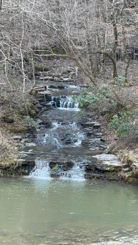 All Photos for Z's Land Management & Forestry Mulching in Smithville, TN