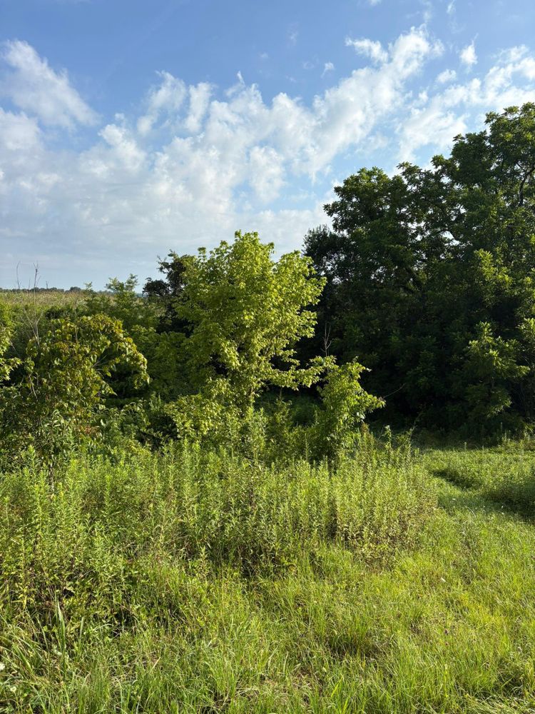 All Photos for Phillips Construction and Excavating in Seymour, TN