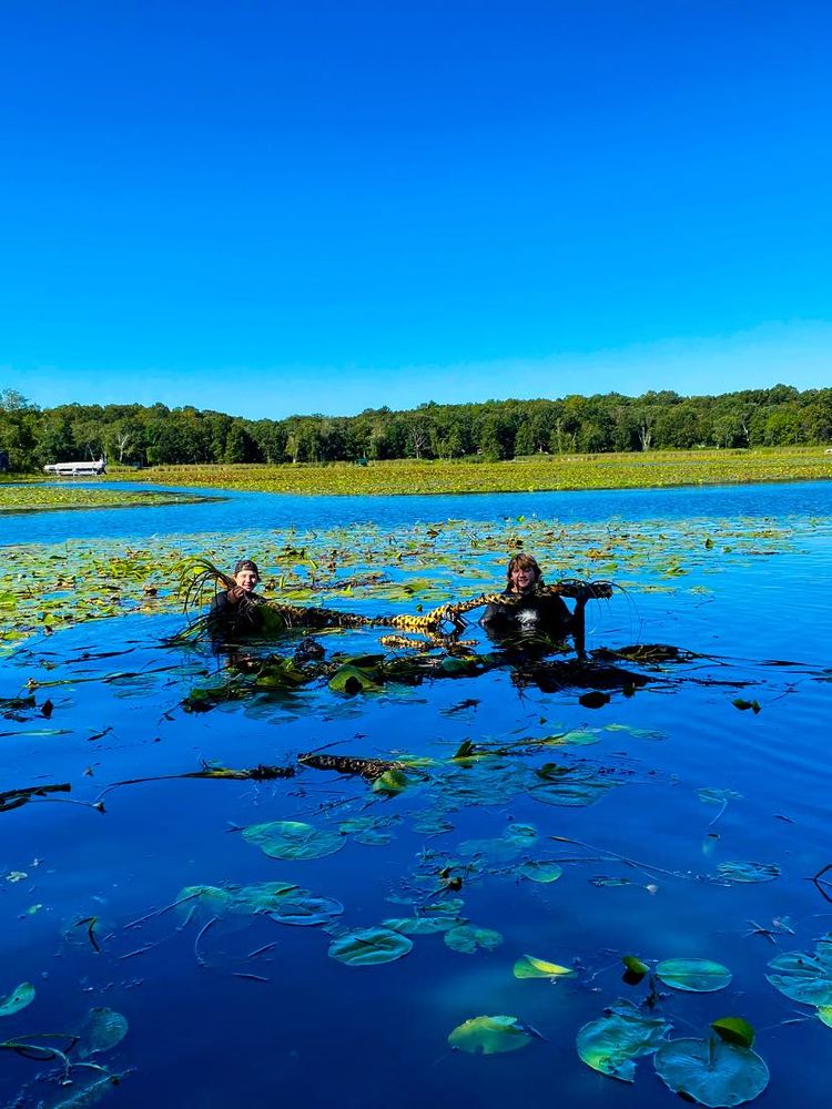 Our Scuba Weed Removal service efficiently tackles underwater weeds, promoting a healthier, clearer water environment around your property while enhancing aquatic ecosystems and ensuring the longevity of your landscape's beauty. for JT’s Underwater Landscaping in Brainerd, MN