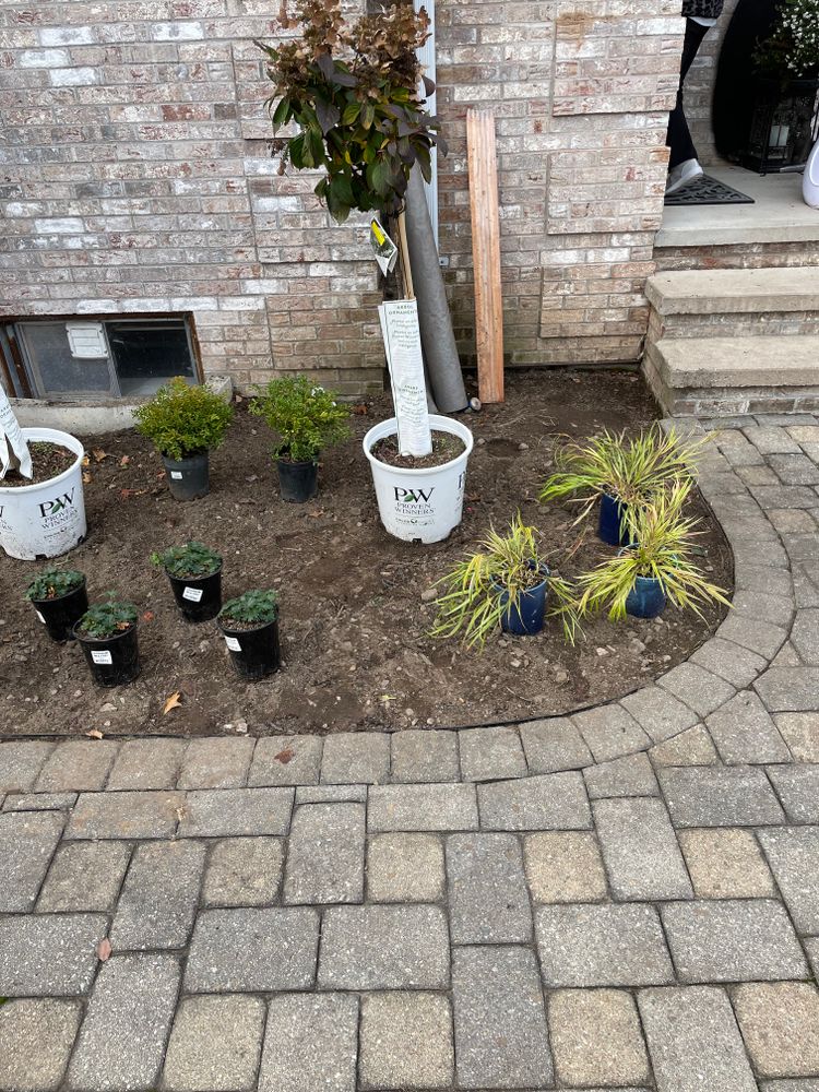 All Photos for Adams Landscaping in Springfield, MA