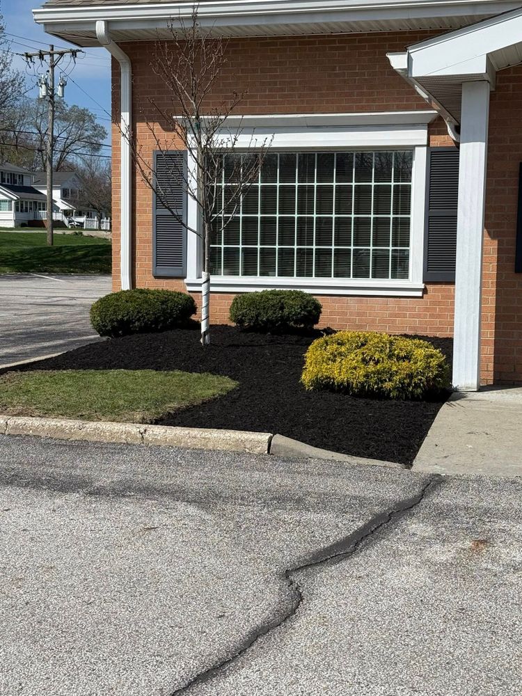 Landscaping for Next Level Outdoor Services in Akron, OH