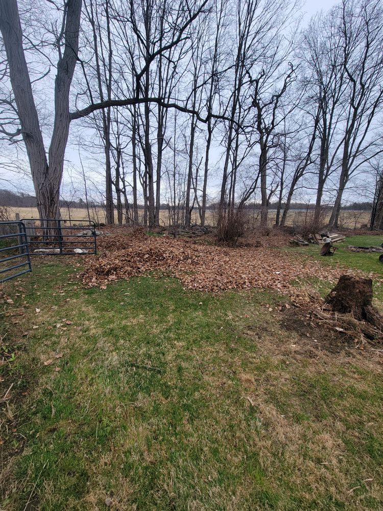 All Photos for Sweet Scapes in Ballston Spa, NY