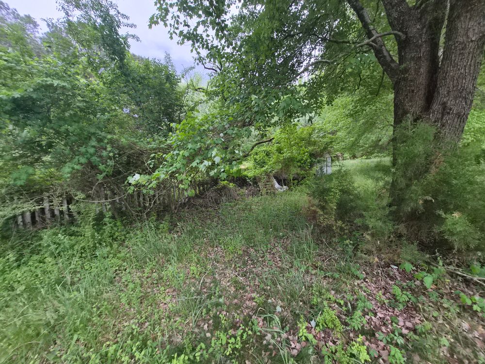 All Photos for 4 Points Lawncare LLC in Hayes, VA