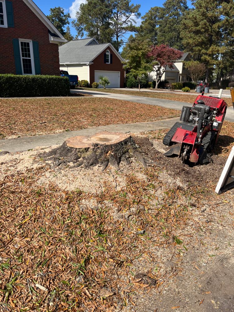 Stump Grinding for Otis Lee Stump Grinding LLC in Elgin, SC