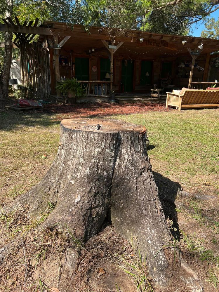 Tree Removal for Southern Venom Services in Daphne, AL