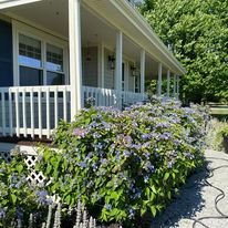 All Photos for Alexander & Son Painting in  Acushnet, MA