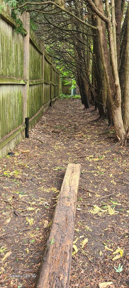 All Photos for Fence Medic in Arlington Heights, IL