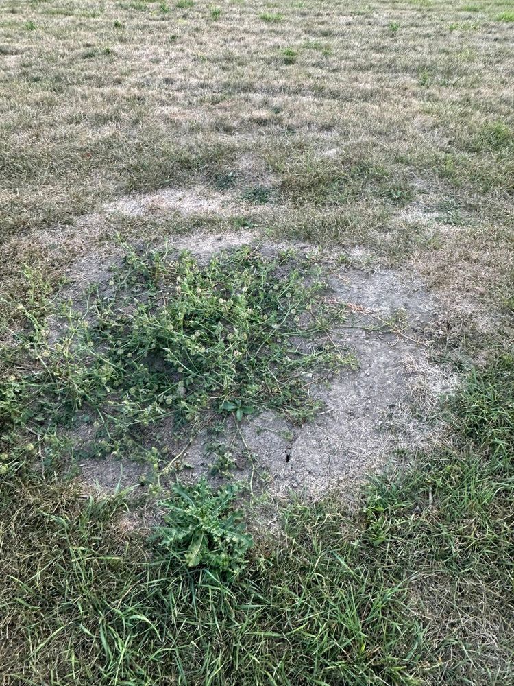 All Photos for OT Lawn and Landscaping LLC in Carey, OH