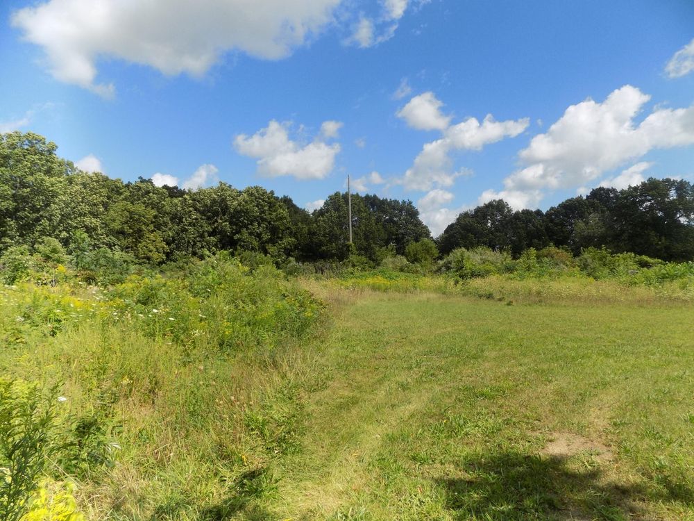 All Photos for Tala Real Estate in Coloma,  Michigan