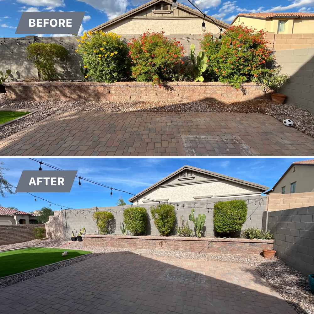 Topiary & Lawn Care for Grand Canyon State Landscape Inc. in Surprise, AZ