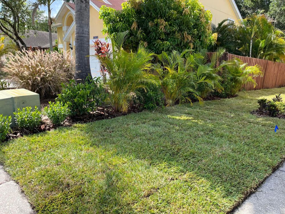 All Photos for Verimay's Garden and Landscaping in Hillsborough County, FL