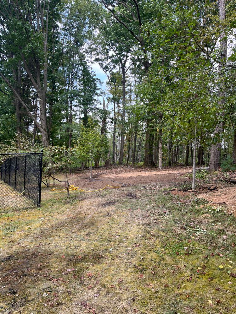 All Photos for J&E Tree & Excavation Services in Sandy, PA