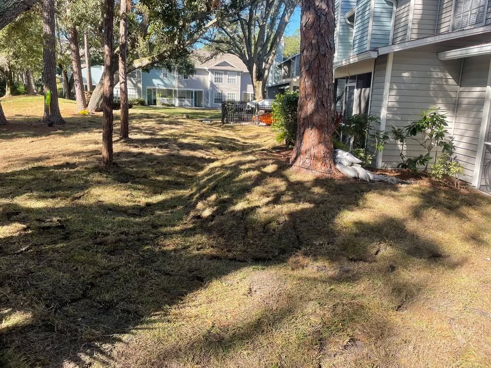 All Photos for Trinity Land Solutions in Brooksville, FL