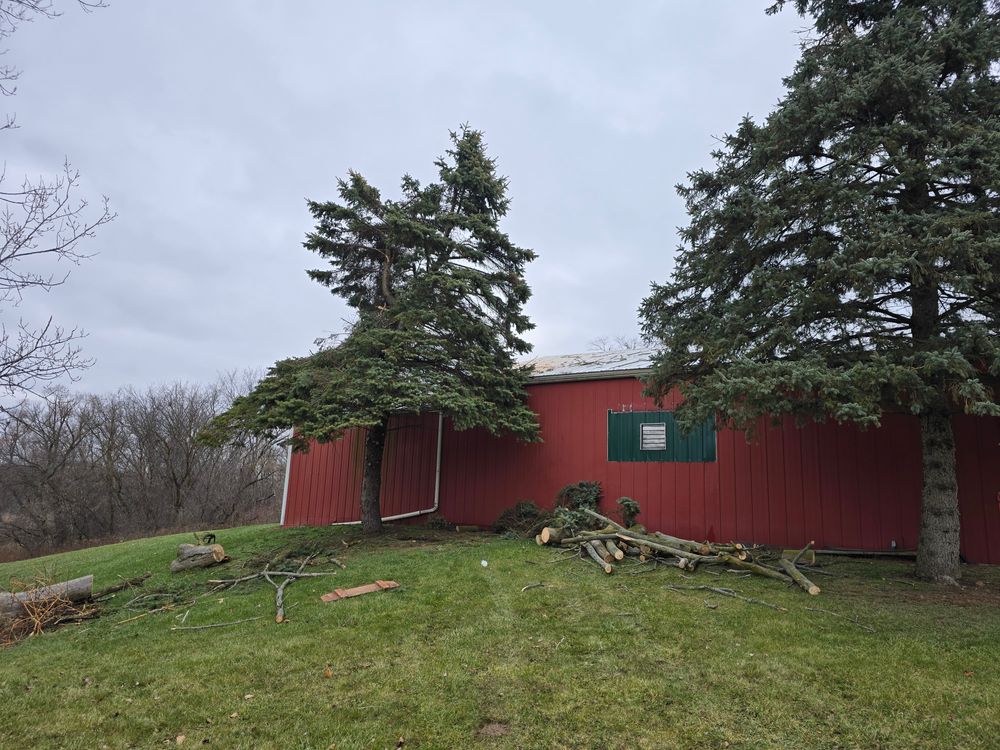 All Photos for D Hale Tree Service in Ann Arbor, MI