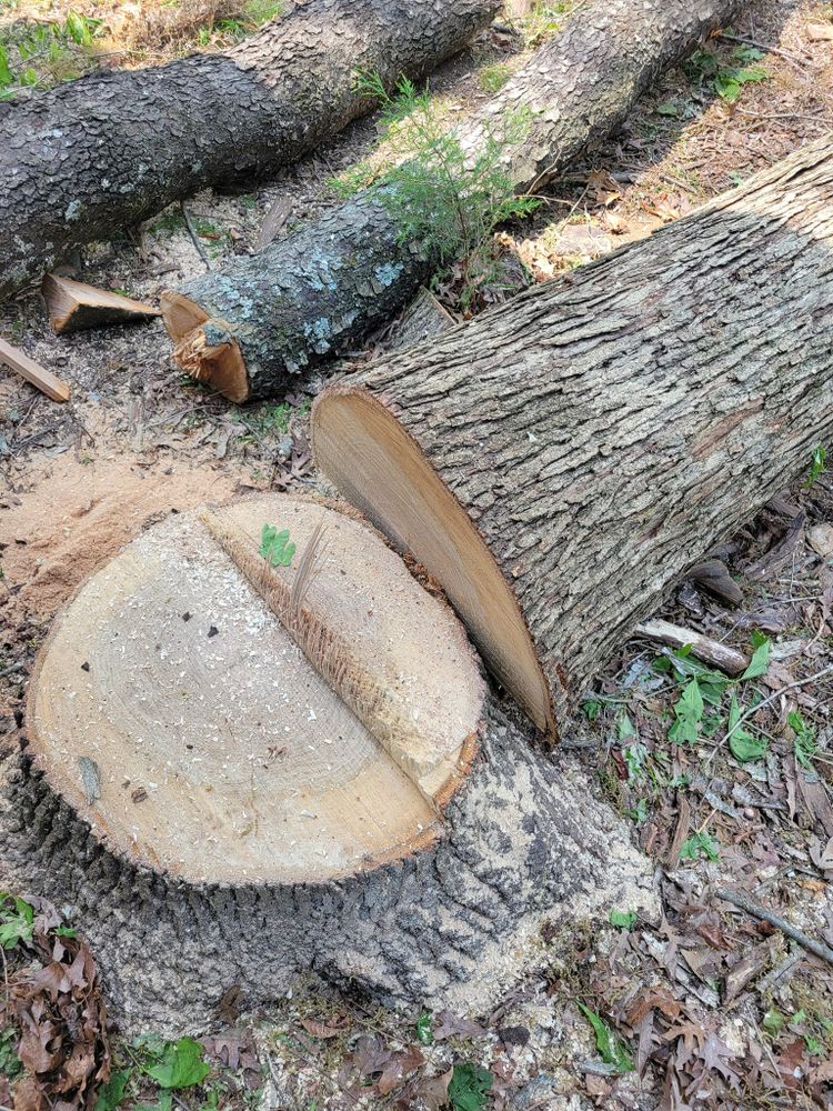 Our Stump Removal service efficiently eliminates unsightly tree stumps, enhancing your landscape's appearance while preventing pest infestations and allowing for new landscaping opportunities. Trust our experts for safe, thorough removal. for Red Roosters Tree Services in Bedford, VA