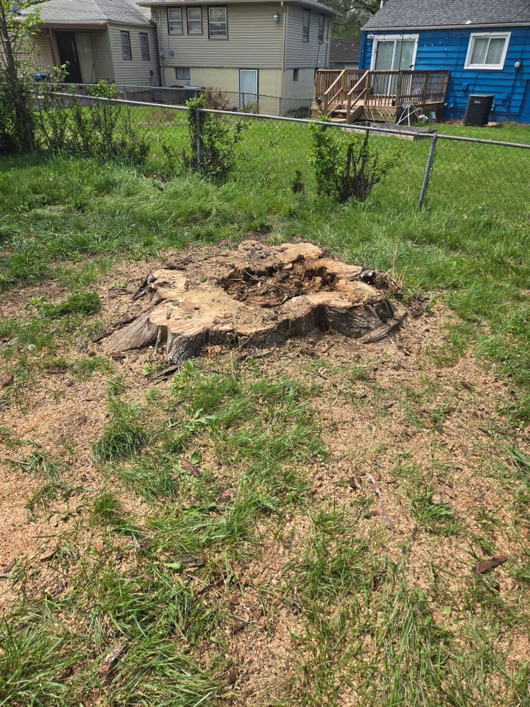 All Photos for Cross Family Tree Service in Kearney, MO