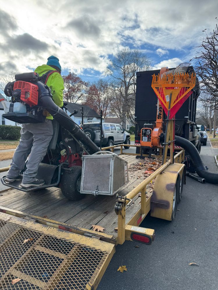 All Photos for Adams Landscaping in Springfield, MA