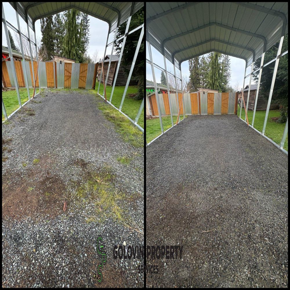 Fall Clean Up for Golovin Property Services LLC in Marysville, WA