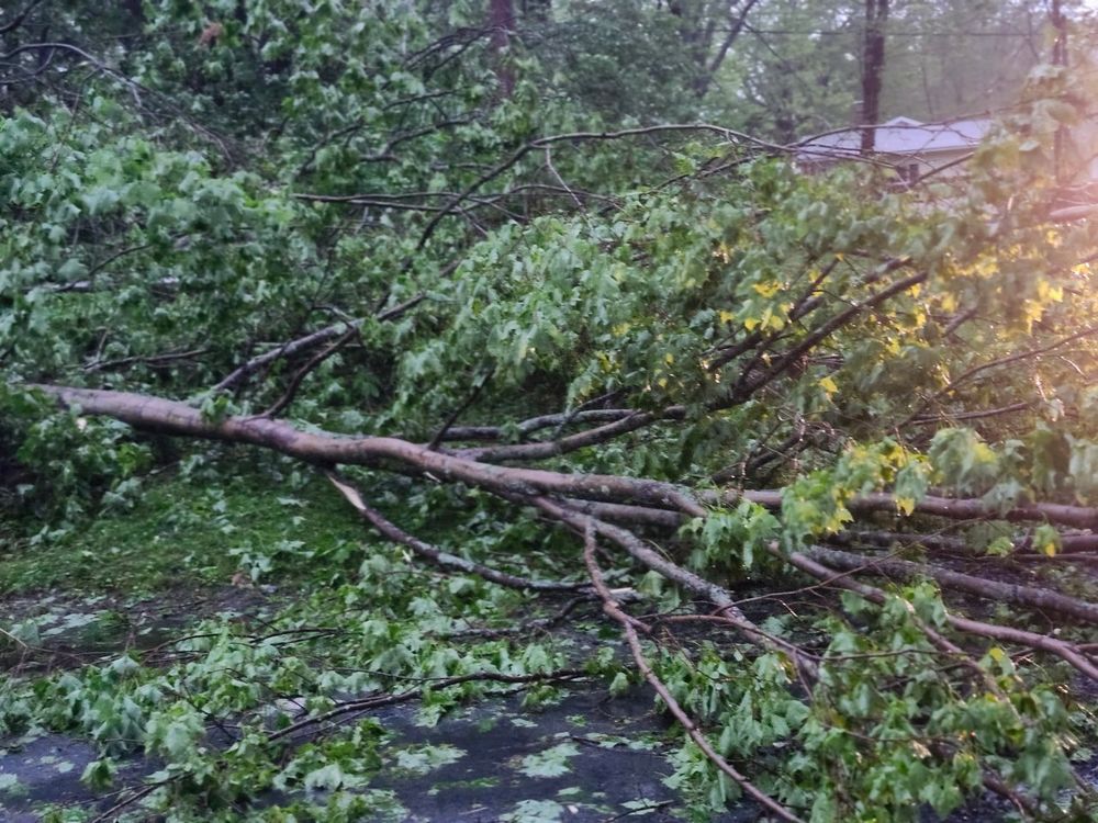 All Photos for Clifford’s Quality Tree Care & Landscaping in Enfield, NH