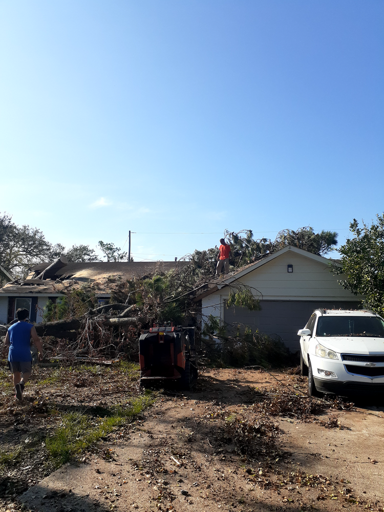 All Photos for Professional Tree Service USA in Chattanooga, TN