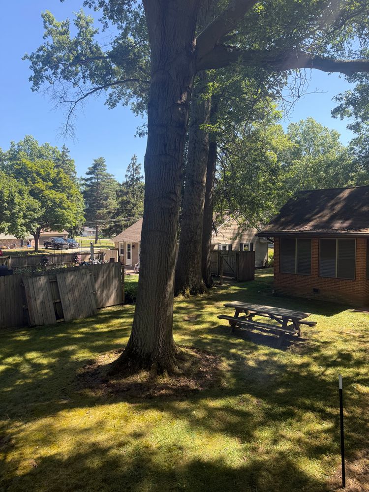 All Photos for Down To Earth Tree Service, LLC in Westlake, OH